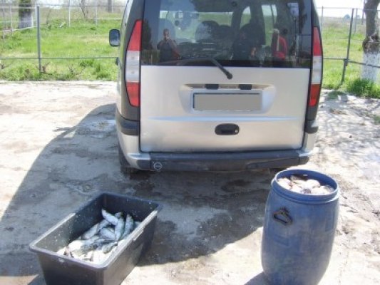 Sute de kilograme de peşte braconat, descoperite la Năvodari